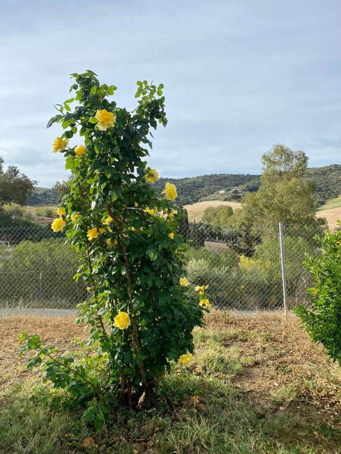 Villa Casa Rosa, El Torcal Almogía Екстериор снимка